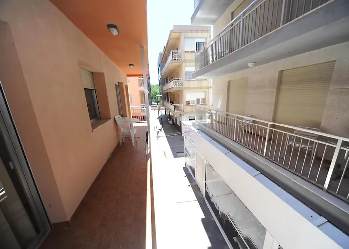 Daire Zona Centro Iv Orangecosta *
